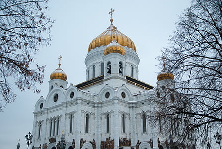 white and gold church near trees thumbnail