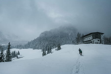 two person walking on snowfield near building thumbnail