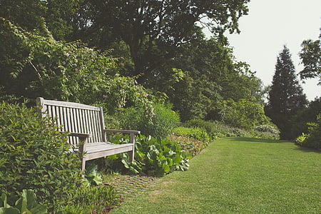 brown bench between green plants outdoors thumbnail