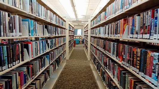 photo of book shelves thumbnail