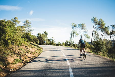 Country road cyclist on a curvy road surrounded by trees thumbnail
