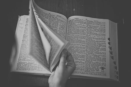 black-and-white, writing, book, reading thumbnail
