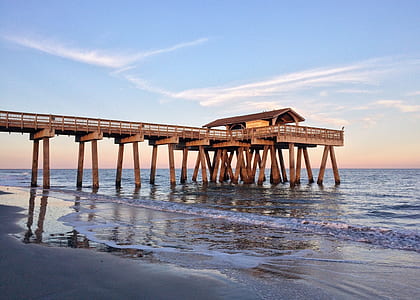 wood, jetty, sea, landscape thumbnail