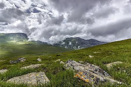 green field under white cloudy skies thumbnail