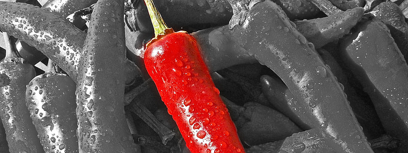 selective color chili pepper thumbnail