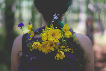 shallow focus photography of yellow flowers thumbnail