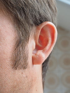 left person's ear thumbnail