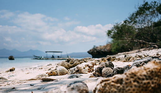 coral reefs on shoreline thumbnail