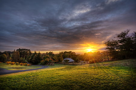 HDR photo of field under cloudy sky during golden time thumbnail