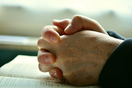 depth of field photograph of person arm closed on book thumbnail
