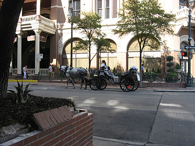 white horse buggy in front building thumbnail