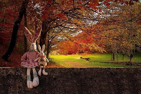 two white and pink rabbit plush toys on concrete wall with trees background thumbnail