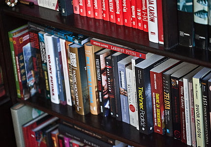 assorted-title book lot in shelf thumbnail