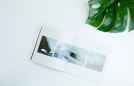 white and blue book page beside green leaf thumbnail