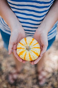 person holding pumpkin thumbnail
