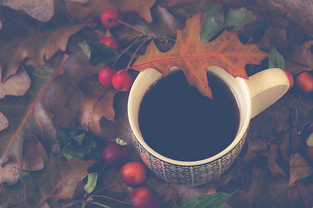 White Ceramic Mug With Brown Leaf thumbnail