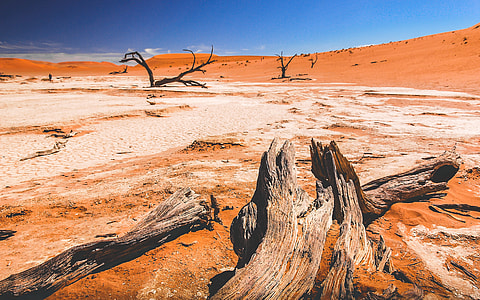 photo of desert thumbnail