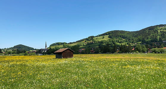 brown wooden shed surrounded by green grass thumbnail