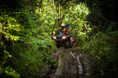 person riding red ATV thumbnail