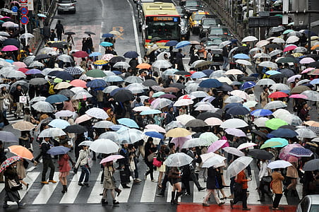 group of people with umbrellas on pedestrian lane during daytime thumbnail