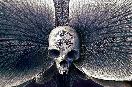 gray skull emblem thumbnail