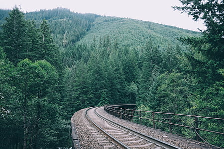 brown metal train rail surrounded by trees with mountains during daytime photography thumbnail