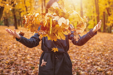 Woman Throwing Autumn Leaves Into The Air thumbnail
