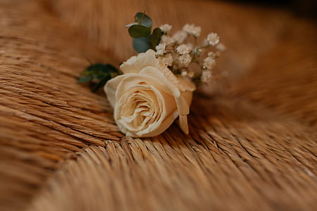 yellow rose on brown surface thumbnail
