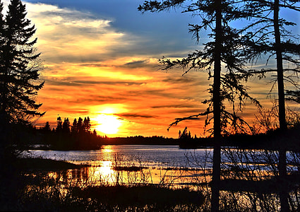 silhouette of trees near body of water during sunset thumbnail