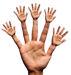 photo of person's right palm thumbnail