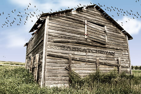 barn, saskatchewan, shack, storehouse thumbnail