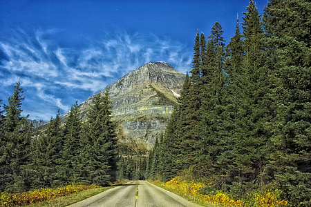 Yosemite National Park Road, California thumbnail