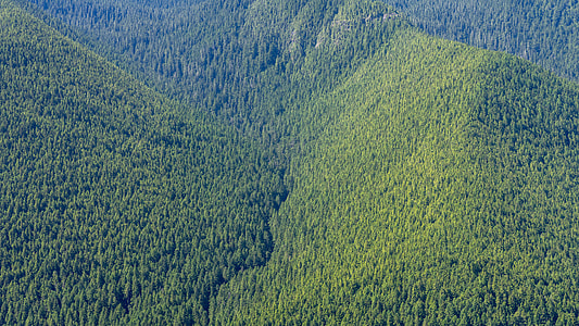 high angle photography of green trees on mountain hills thumbnail
