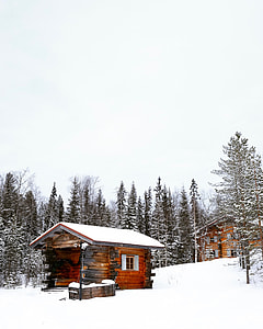 brown wooden cabin on snow field during daytime thumbnail