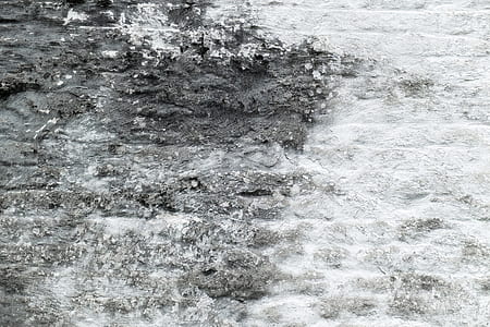 greyscale photo of soil thumbnail