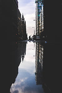 silhouette of person standing between building thumbnail