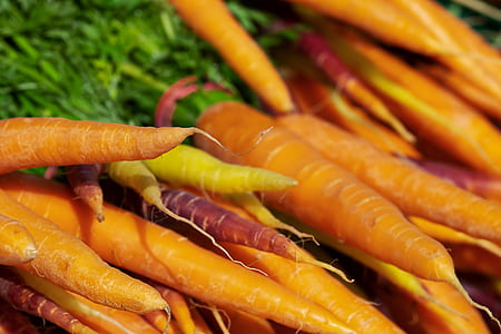carrots lot thumbnail