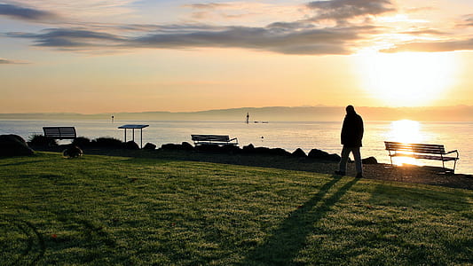 silhouette photo of man walking on grass field near bench thumbnail