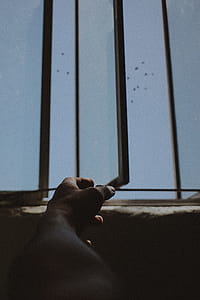 Person Left Hand thumbnail