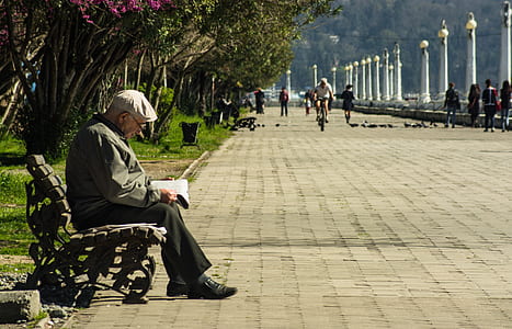 man sitting on bench near pathway thumbnail