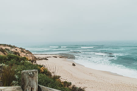 empty seashore at daytime thumbnail