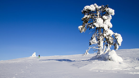 Snow Shoe Snow Shoe Run, Finland thumbnail