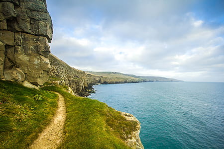 green grass field beside body of water thumbnail
