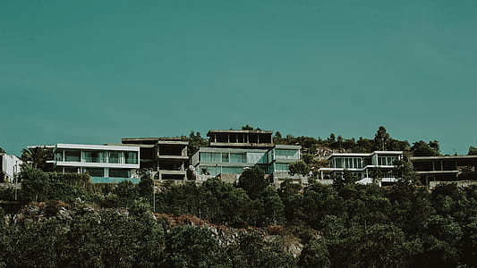 White and Gray Concrete Buildings With Green Trees Under Green Sky thumbnail