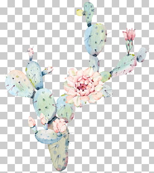 Water color flower cactus plant, green cactus with flowers against blue background PNG clipart
