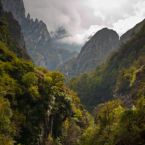 mountain range wallpaper thumbnail