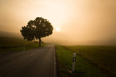 highway leading to area covered in fog thumbnail