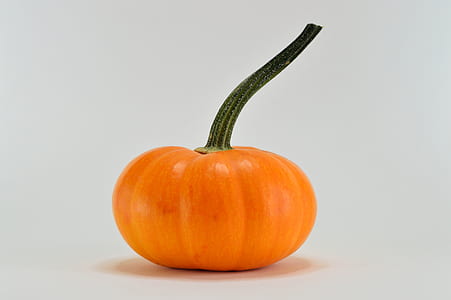Close-Up Photography of A Pumpkin thumbnail