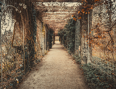 white and brown garden pathway thumbnail