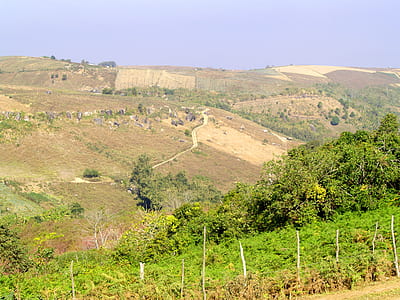 landscape, nature, rocks, trees thumbnail